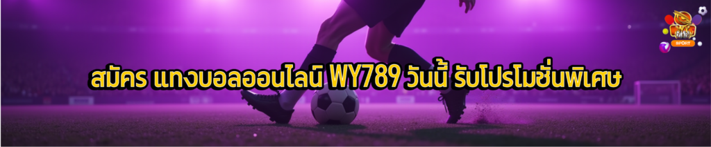 WY789