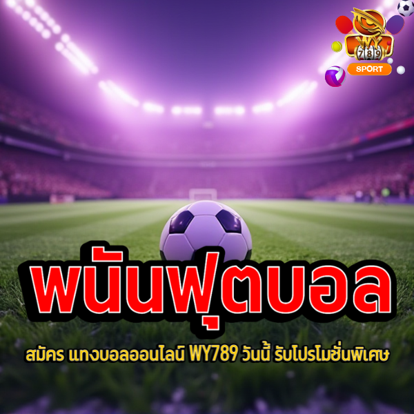 สมัคร แทงบอลออนไลน์ WY789 วันนี้ รับโปรโมชั่นพิเศษ