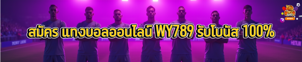 สมัคร แทงบอลออนไลน์ WY789