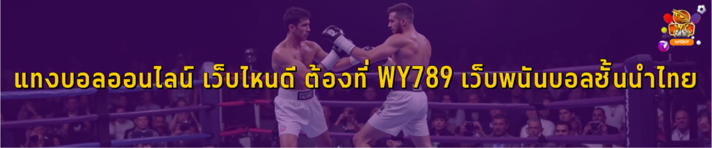 แทงบอลออนไลน์ เว็บไหนดี ต้องที่ WY789